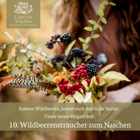 Wildsträucher zum Naschen