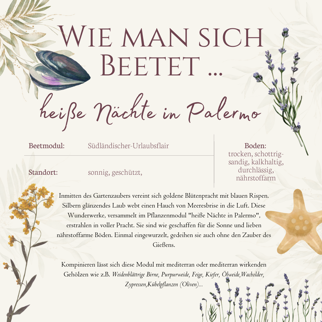 Beetmodul Heiße Nächte in Palermo