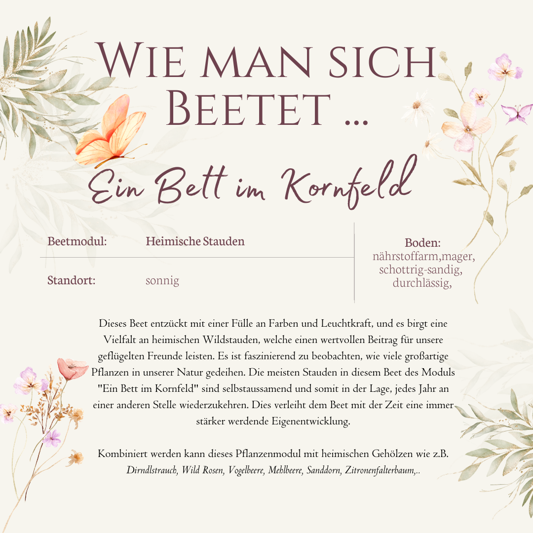 Beetmodul- Ein Bett im Kornfeld