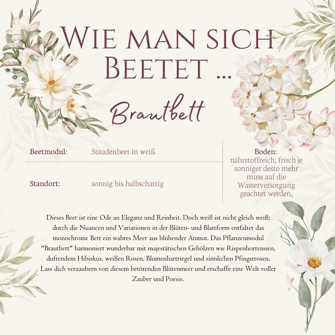 Beetmodul Brautbeet
