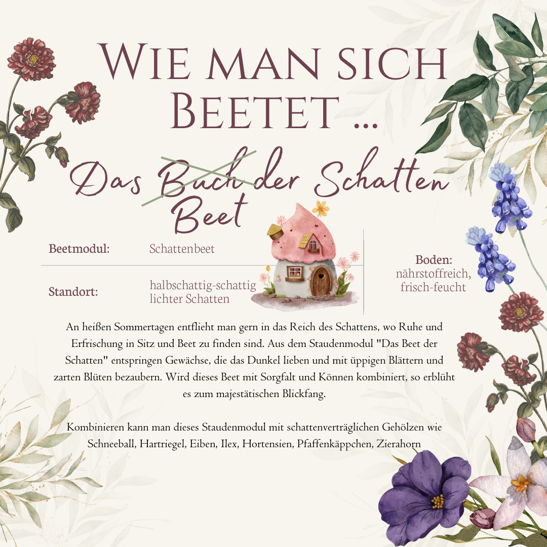 Beetmodul Das Beet der Schatten