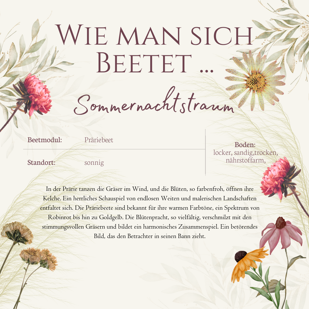Beetmodul Sommernachtstraum