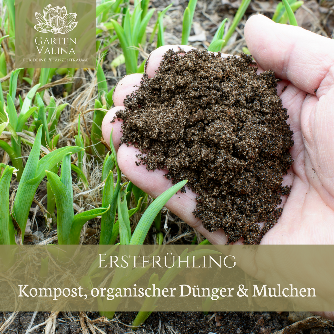 Erstfrühling: Kompost, organischer Dünger & Mulchen