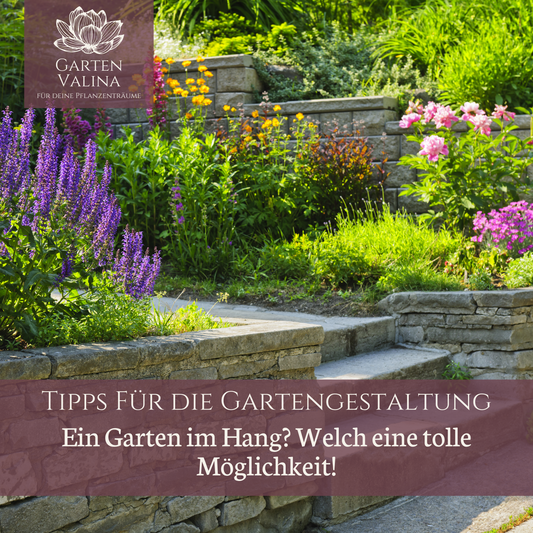 Tipps für die Gartengestaltung: Ein Garten im Hang? Welch eine tolle Möglichkeit!