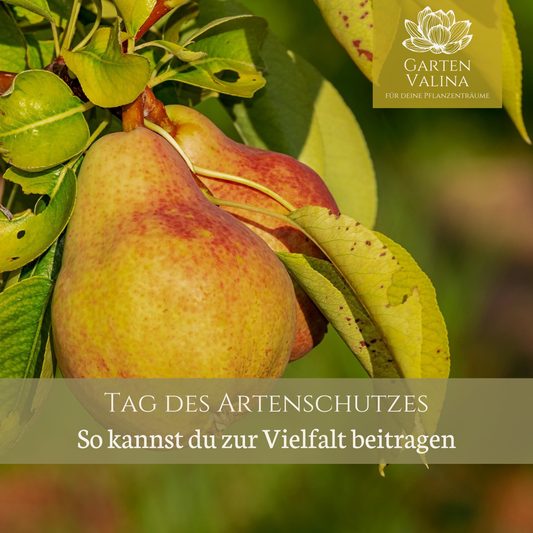 Tag des Artenschutzes: So kannst du zur Vielfalt beitragen