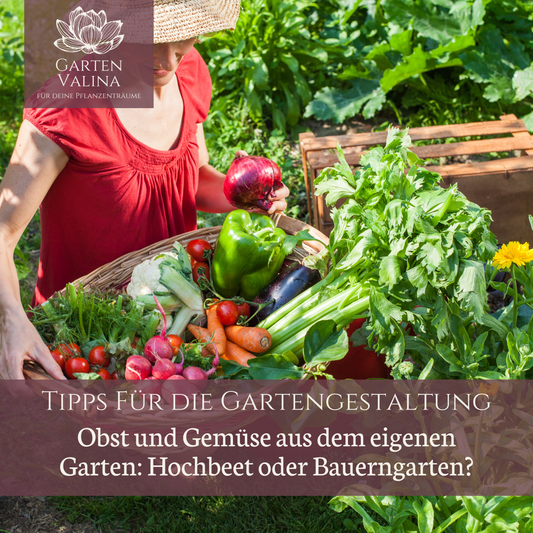 Tipps für die Gartengestaltung: Obst und Gemüse aus dem eigenen Garten: Hochbeet oder Bauerngarten?