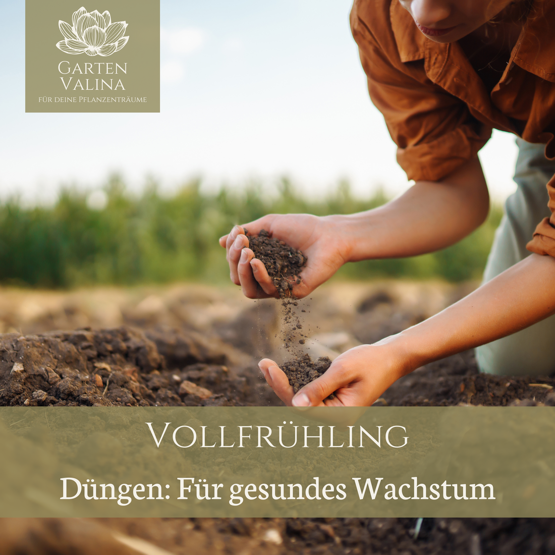 Vollfrühling: Düngen für ein gesundes Wachstum