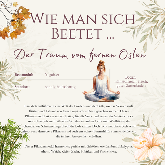 Beetmodul Der Traum vom fernen Osten